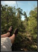 025 more Zipline
